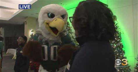 Surprise Local News .